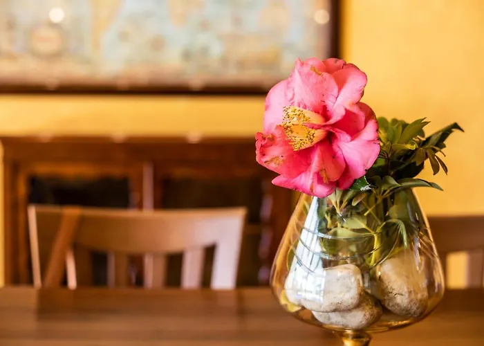 Agave מלון דירות 4*