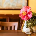 Agave Ξενοδοχείο με διαμερίσματα 4*